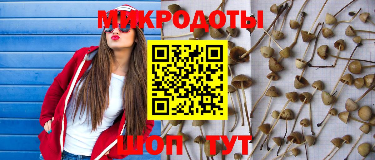 Псилоцибиновые грибы ЛСД Озёры
