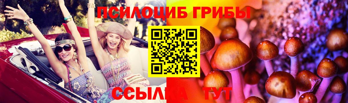 Псилоцибиновые грибы Cubensis  Вход с VPN  Озёры 